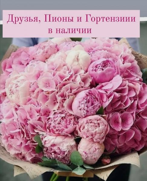 5 фактов о пионах
Проверим, как хорошо вы разбираетесь в цветах ( или как хорошо у вас развита..