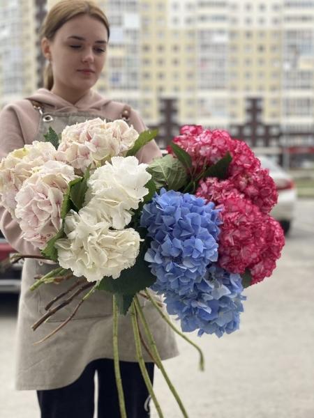 С прекрасным новым утром! Пусть сегодня оно, непременно, принесет вам удачу и..