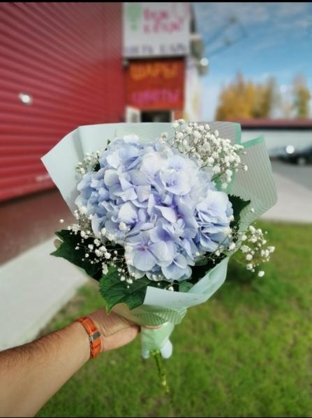 С прекрасным новым утром! Пусть сегодня оно, непременно, принесет вам удачу и..