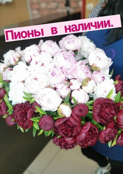 26 интересных фактов о пионах
Пионы чрезвычайно популярные цветы, их можно увидеть едва ли не на..