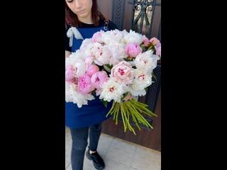 ПИОНЫ В НАЛИЧИИ 

ПОЛУЧИ 700 рублей на  

Кто не подписан, подписывайтесь 
ПОЛУЧИ  700 р за..