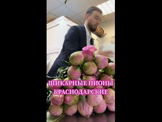 Поступление Краснодарских Розовых Пионов
Для заказа пишите в группу или..