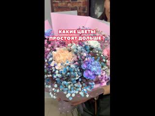 КАКИЕ ЖЕ ВСЕ ТАКИ ЦВЕТЫ ПРОСТОЯТ БОЛЬШЕ?)
Ответ в видео.
НАШИ ХОЛОДИЛЬНИКИ ПОЛНЫЕ ЦВЕТАМИ, приходите за..