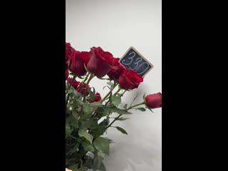 Кому Метровые РОЗЫ
[club42308677|..