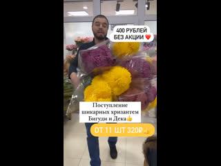 Поступление шикарных Хризантем. Прямо из Краснодара 

320  от 11 Шт.

400..