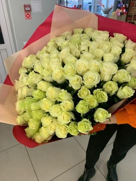 Какие на сегодняшний день акции 

Ответ: 
На кустовые розы, кроме Беллы Линды церайз
от 11 Шт скидка 20%
От 25..