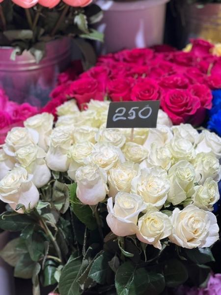 Женщины слишком долго помнят неподаренные розы...