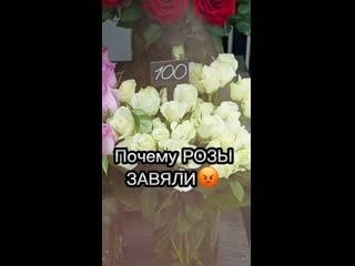 Клип @beridaricvety..