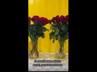 Почему завяли Розы? Воды мало .
В данном случае смотрите..